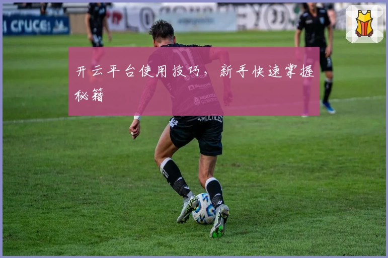 开云平台使用技巧，新手快速掌握秘籍