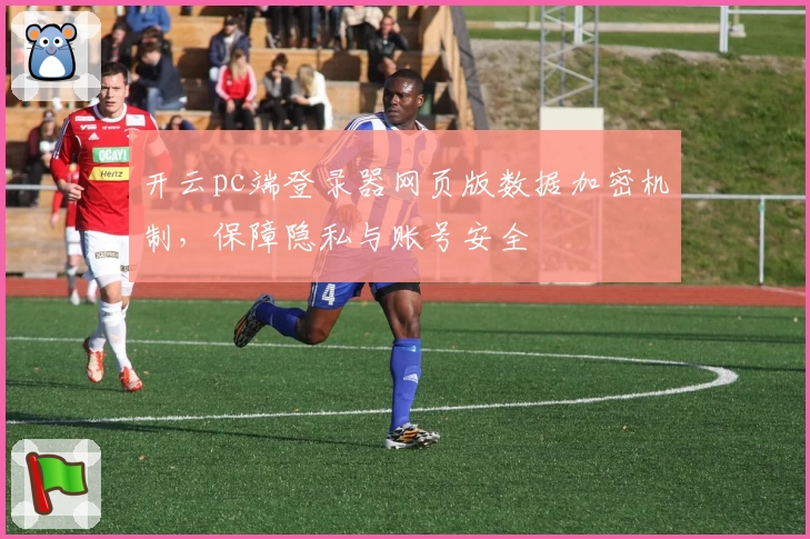 开云pc端登录器网页版数据加密机制，保障隐私与账号安全